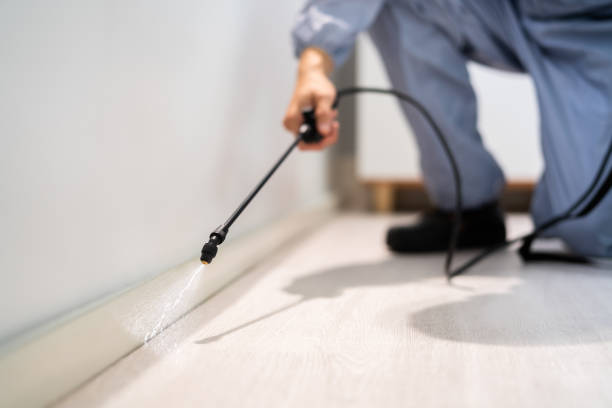 Licensed Pest Control service in De Baca County County, NM - Nex Pest Control