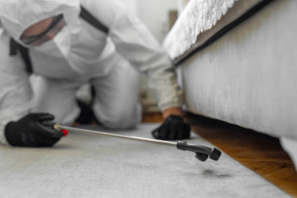 Professional Pest Control technician working in De Baca County County, NM